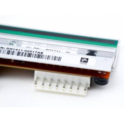 Zebra: 220Xi4 (216mm) - 203DPI, P1004238