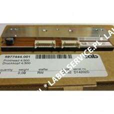 CAB: SQUIX 4/300 (105.7mm) - 300DPI Flat Head, 5977444.001 CAB: SQUIX 4/300 (105.7mm) - 300DPI Flat Head, 5977444.001
